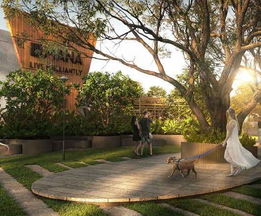 mana-verdant-terraces-banner